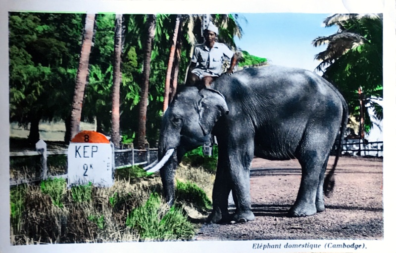 Cartes · Cartes postales Asie