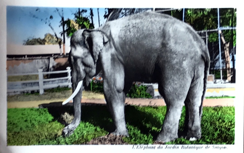 Cartes · Cartes postales Asie