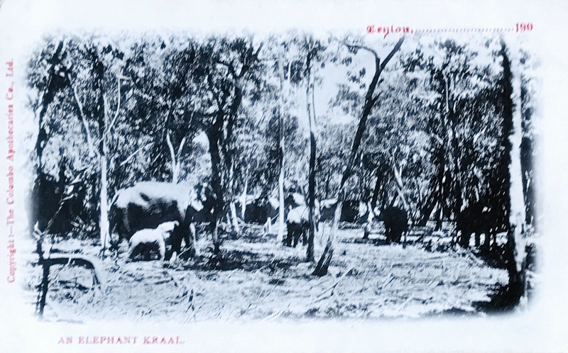 Cartes · Cartes postales Asie