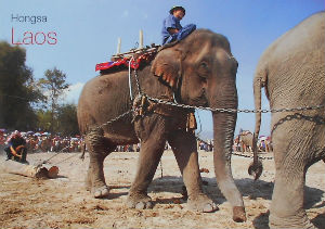 Cartes · Cartes postales Asie - Laos
