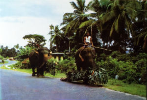 Cartes · Cartes postales Asie - Cambodge, Inde, Laos, Sri Lanka
