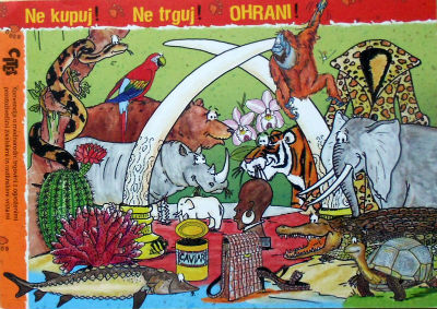 Cartes · Cartes postales Humour