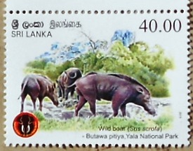Timbres · Sri Lanka
