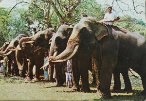 Cartes · Cartes postales Asie - Cambodge, Inde, Laos, Sri Lanka