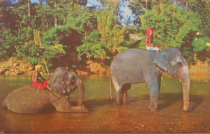 Cartes · Cartes postales Asie - Cambodge, Inde, Laos, Sri Lanka