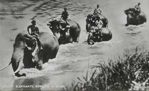 Cartes · Cartes postales Asie - Cambodge, Inde, Laos, Sri Lanka