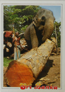 Cartes · Cartes postales Asie - Cambodge, Inde, Laos, Sri Lanka
