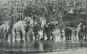 Cartes · Cartes postales Asie - Cambodge, Inde, Laos, Sri Lanka