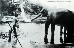 Cartes · Cartes postales Asie - Cambodge, Inde, Laos, Sri Lanka