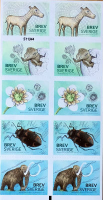 Timbres · Suede
