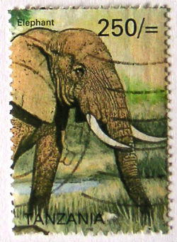 Timbres · Tanzanie