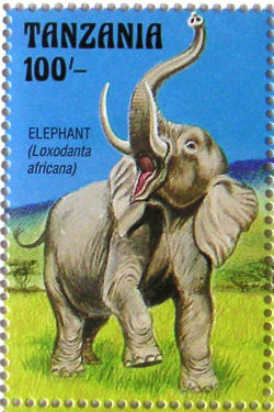 Timbres · Tanzanie