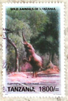 Timbres · Tanzanie