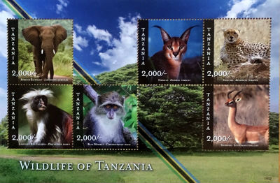 Timbres · Tanzanie
