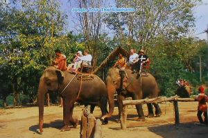 Cartes · Cartes postales Asie - Thaïlande