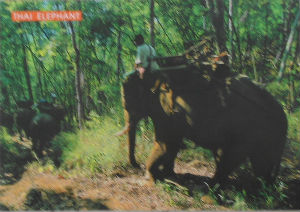 Cartes · Cartes postales Asie - Thaïlande