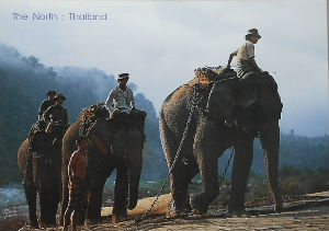 Cartes · Cartes postales Asie - Thaïlande
