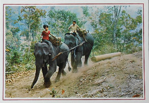Cartes · Cartes postales Asie - Thaïlande