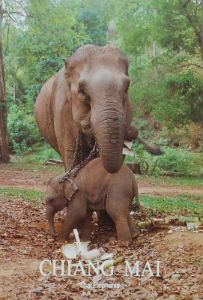Cartes · Cartes postales Asie - Thaïlande