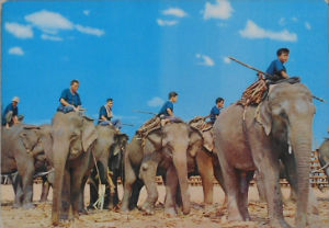 Cartes · Cartes postales Asie - Thaïlande