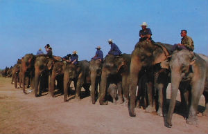 Cartes · Cartes postales Asie - Thaïlande