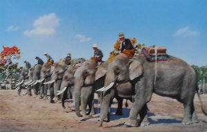 Cartes · Cartes postales Asie - Thaïlande