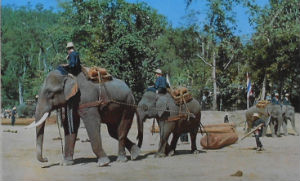 Cartes · Cartes postales Asie - Thaïlande