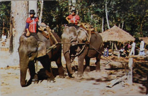 Cartes · Cartes postales Asie - Thaïlande