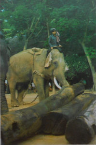 Cartes · Cartes postales Asie - Thaïlande