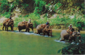 Cartes · Cartes postales Asie - Thaïlande