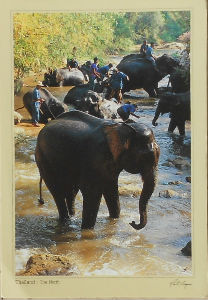 Cartes · Cartes postales Asie - Thaïlande