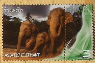 Timbres · Thailande