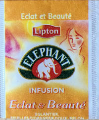 Théières · Divers Marques DE Sachets DE THE