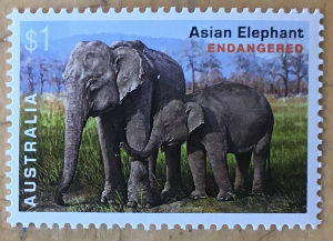 Timbres · Autralie