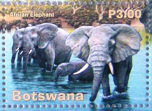Timbres · Botswana