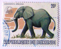 Timbres