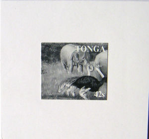 Timbres · Tonga