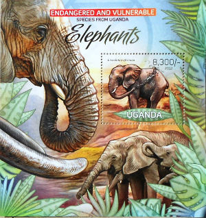 Timbres · Uganda