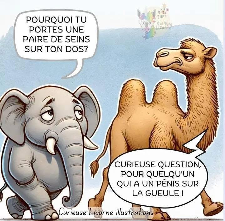 Cartes · Cartes postales Humour