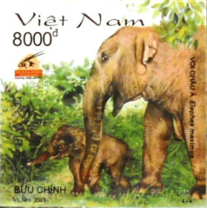 Timbres · Vietnam