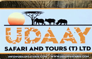 Cartes · Cartes DE Visites
