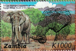 Timbres · Zambia