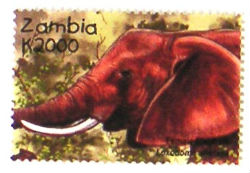 Timbres · Zambia