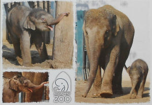 Cartes · Cartes postales Asie